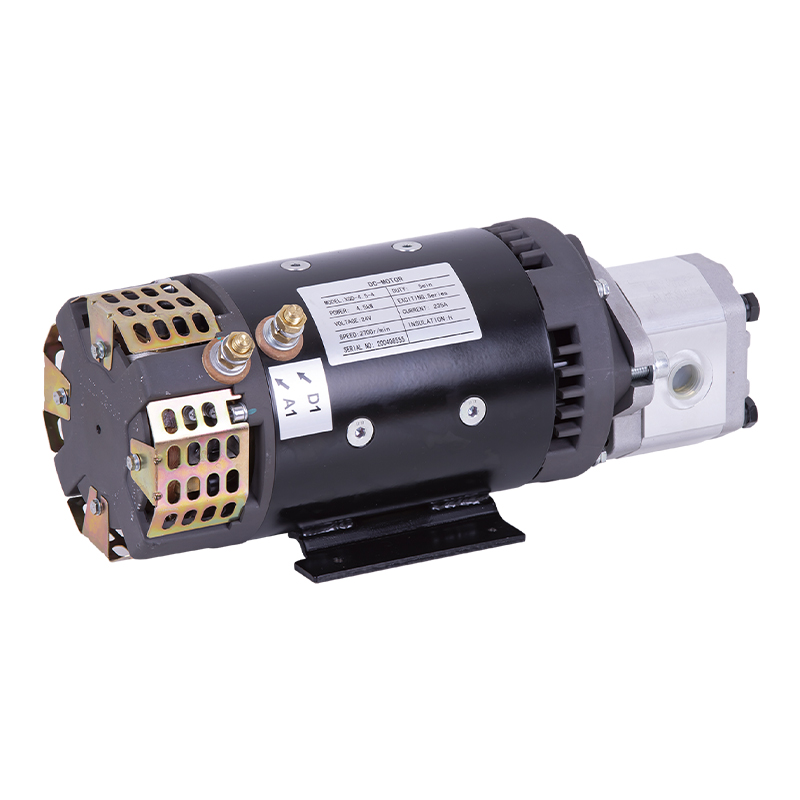 Aerial vehicle electric pump