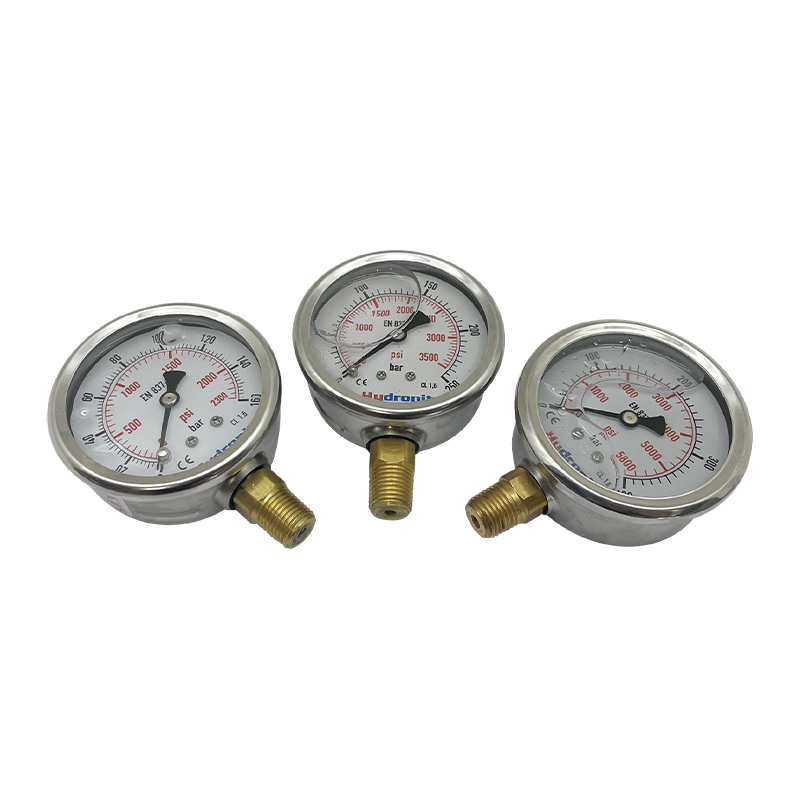 Pressure gauge